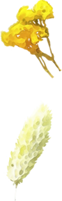 object