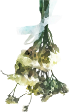 object